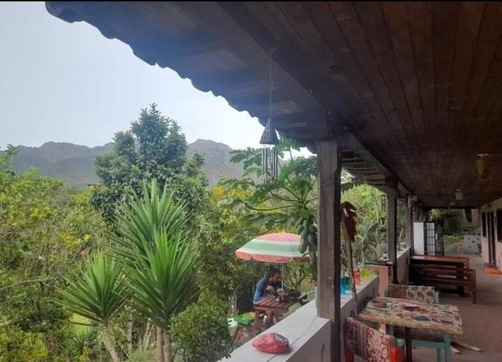 Matilda Ec Hostel Vilcabamba Kültér fotó